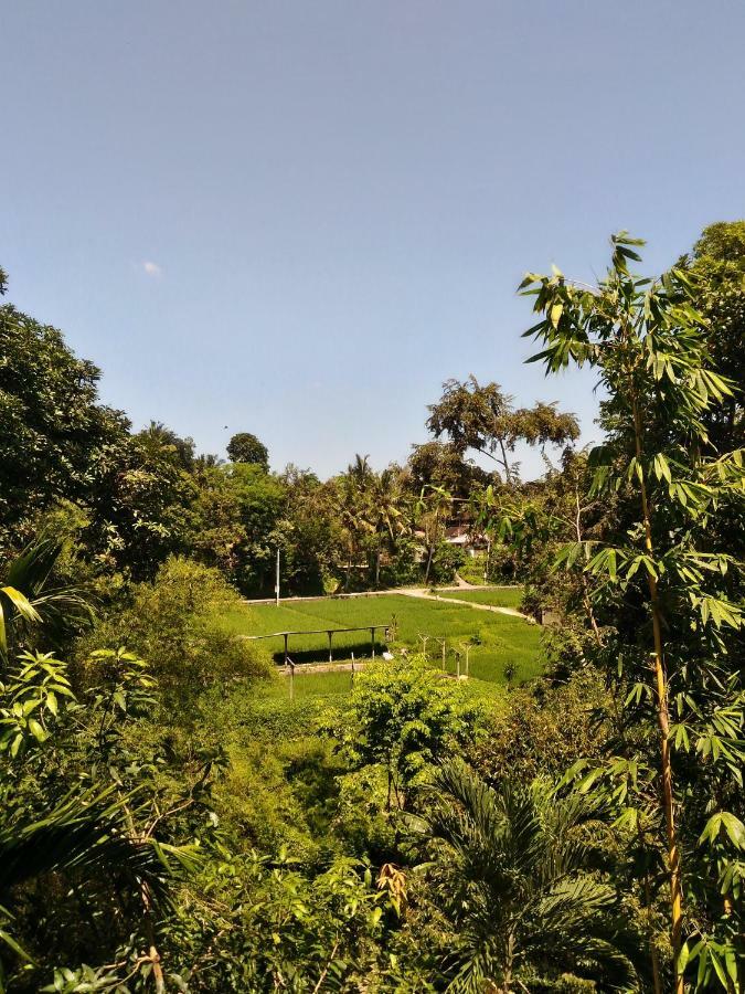 Prasanti Bed & Breakfast Ubud Exterior foto