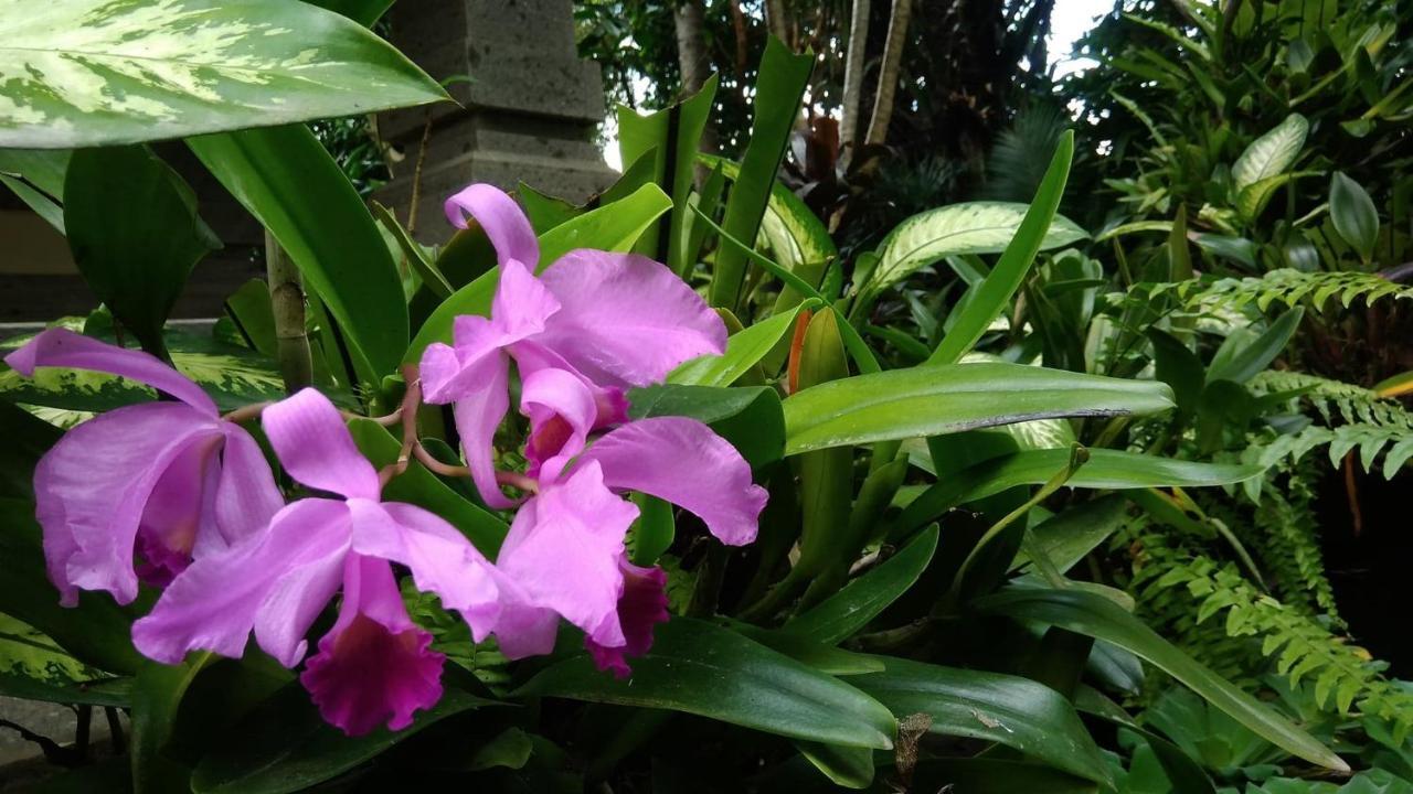 Prasanti Bed & Breakfast Ubud Exterior foto